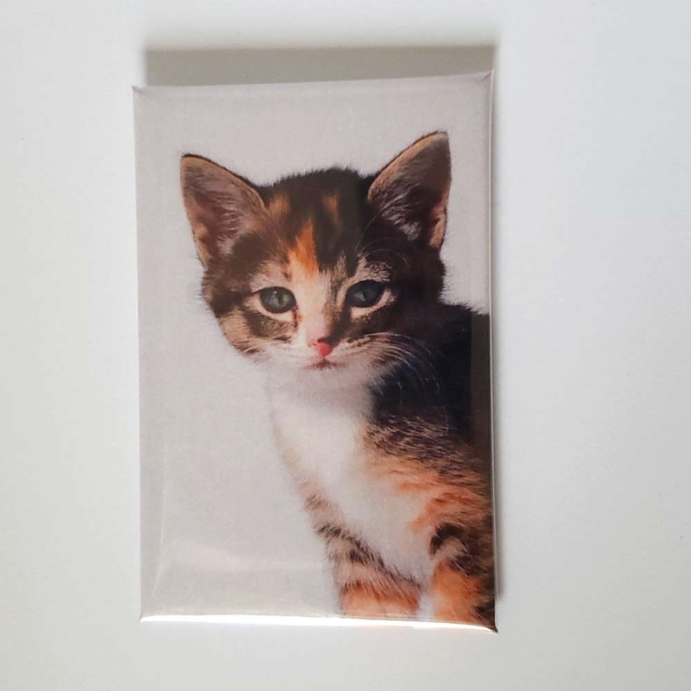 Kitten fridge magnet